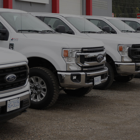 White Ford trucks